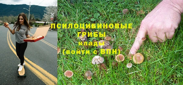 гидропоника Армянск